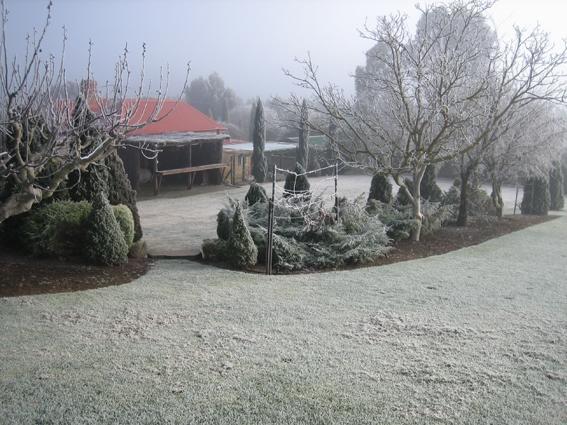 Vineyard Cottage BnB Gumeracha Exteriör bild